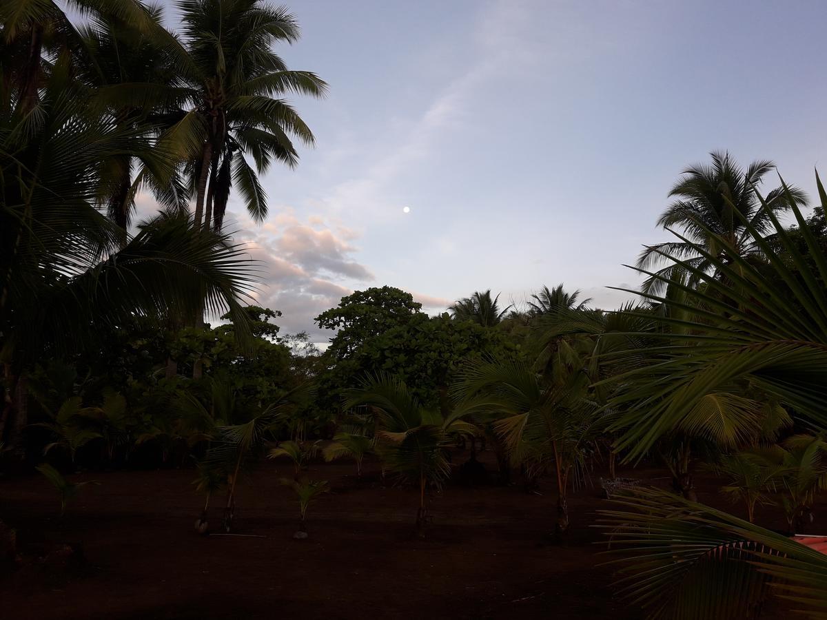 Hostal Pachamama Isla de Canas Bagian luar foto