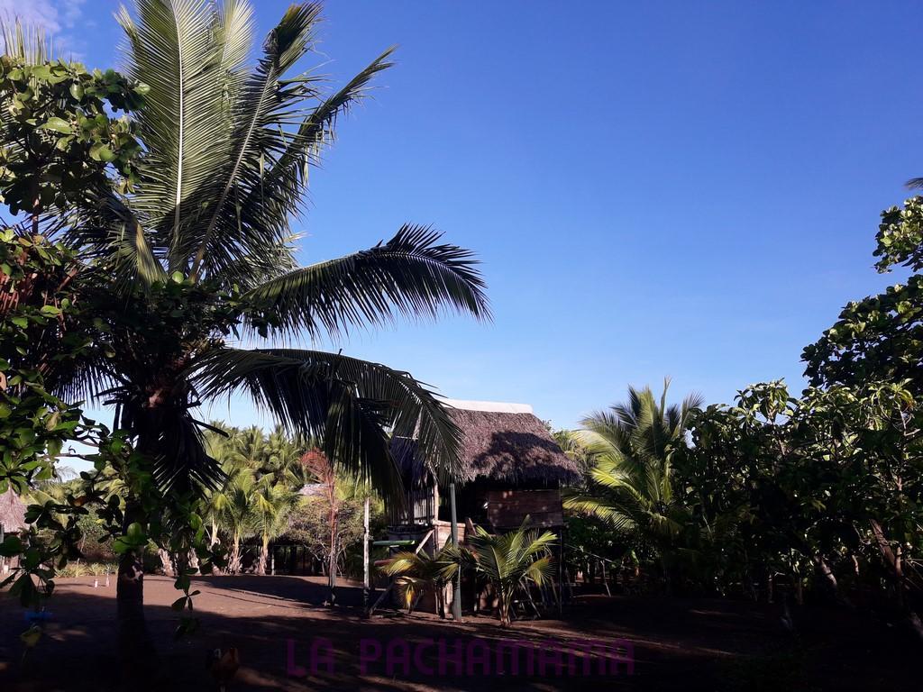 Hostal Pachamama Isla de Canas Bagian luar foto