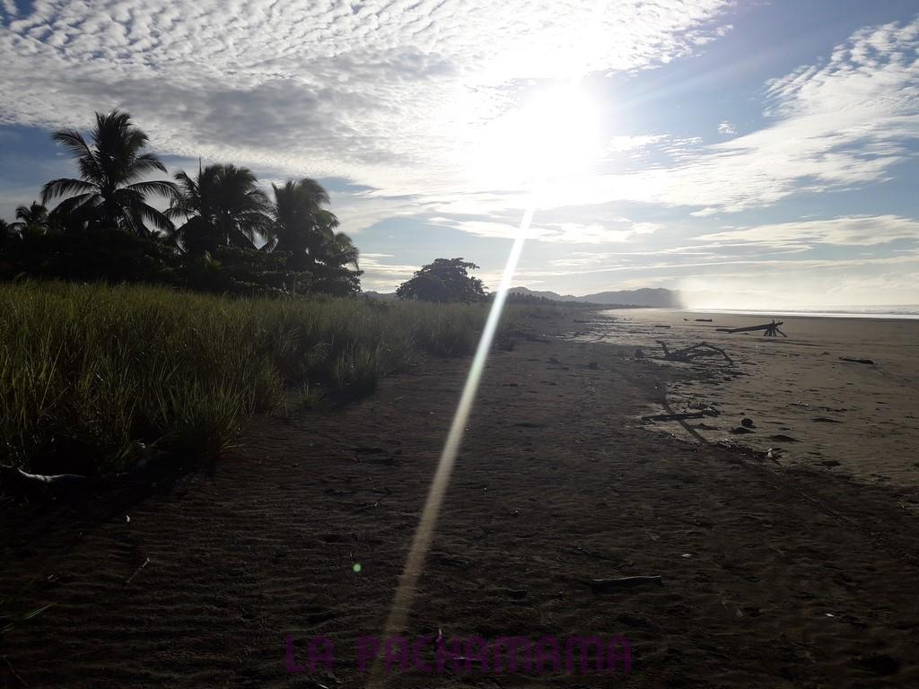 Hostal Pachamama Isla de Canas Bagian luar foto