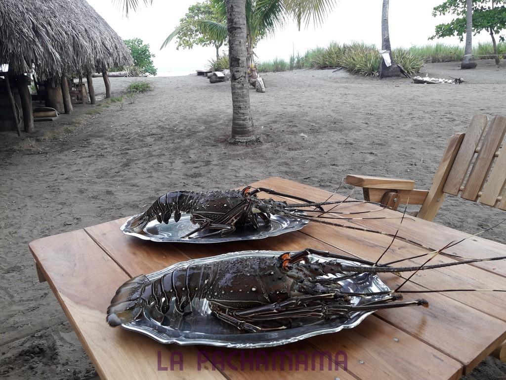 Hostal Pachamama Isla de Canas Bagian luar foto