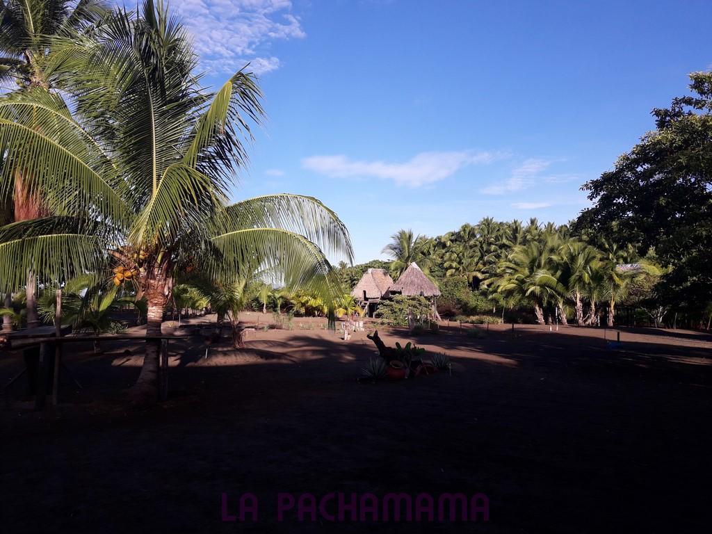 Hostal Pachamama Isla de Canas Bagian luar foto