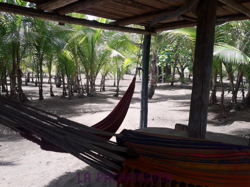 Hostal Pachamama Isla de Canas Bagian luar foto