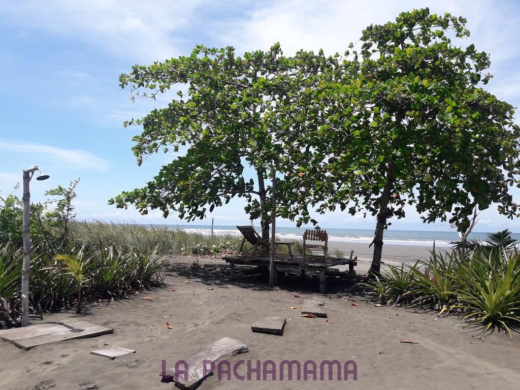 Hostal Pachamama Isla de Canas Bagian luar foto