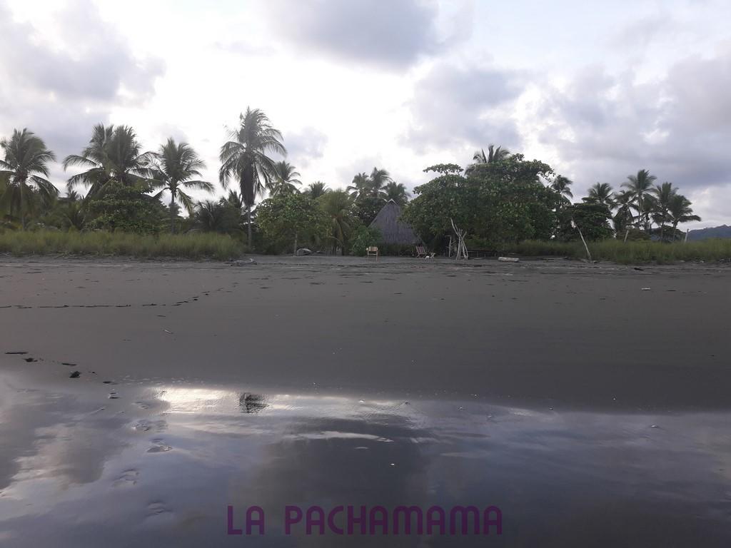 Hostal Pachamama Isla de Canas Bagian luar foto