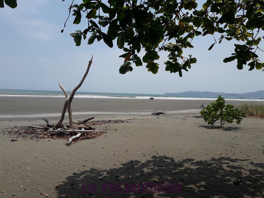 Hostal Pachamama Isla de Canas Bagian luar foto