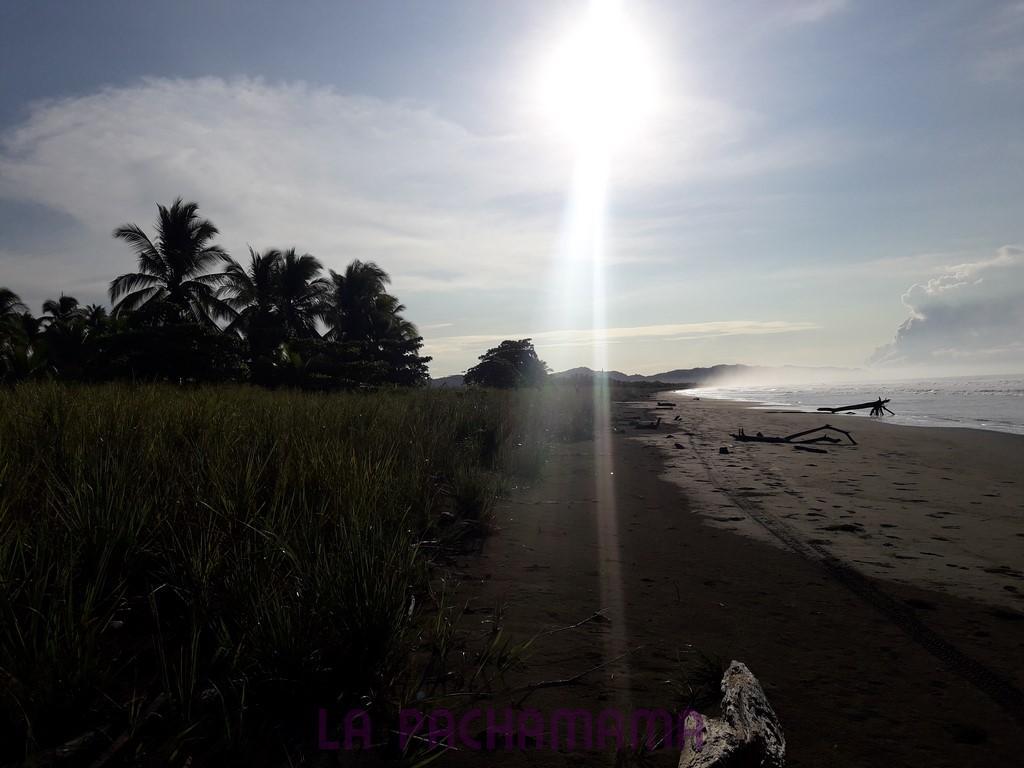 Hostal Pachamama Isla de Canas Bagian luar foto