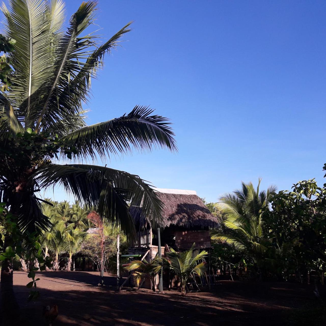 Hostal Pachamama Isla de Canas Bagian luar foto